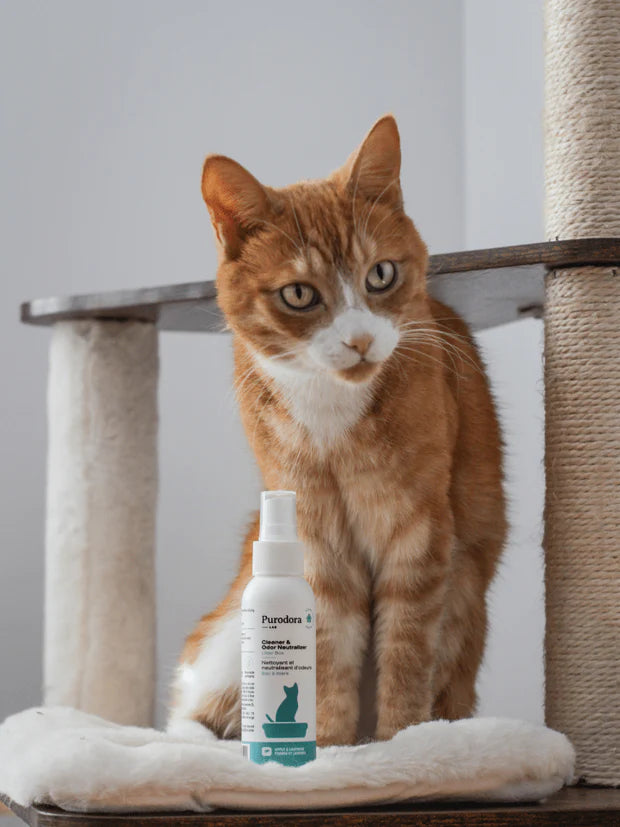 Purodora Litter box odor neutralizer