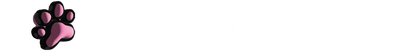 Kong Animalerie