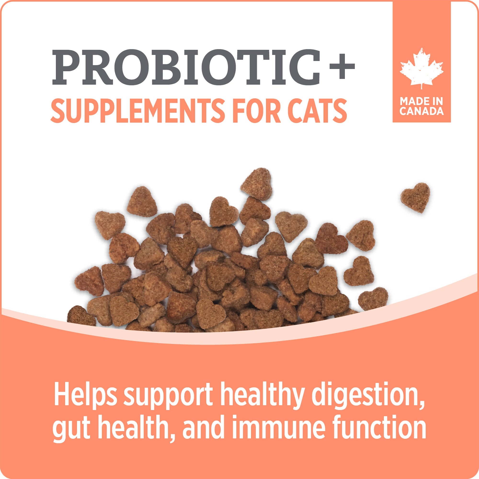 Nutrience Care Supplement for Cats - Probiotic+ - 180 g