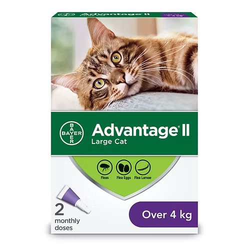 Advantage II Flea Treatment for Cats over 4 kg, 2 Doses