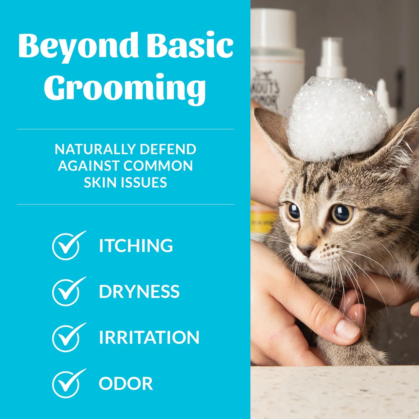 Skout's Honor Cat Probiotic Shampoo + Conditioner Fragrance Free