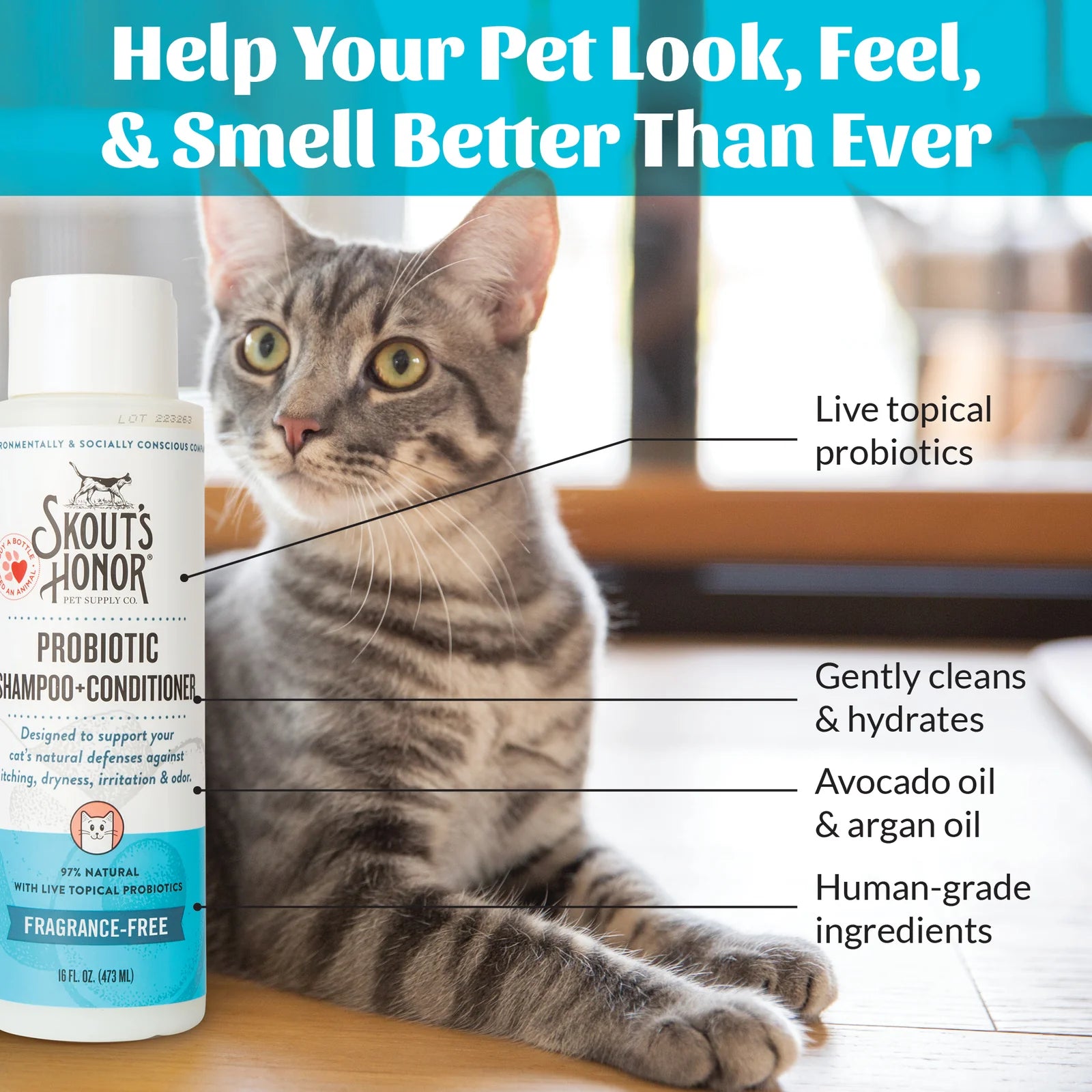 Skout's Honor Cat Probiotic Shampoo + Conditioner Fragrance Free