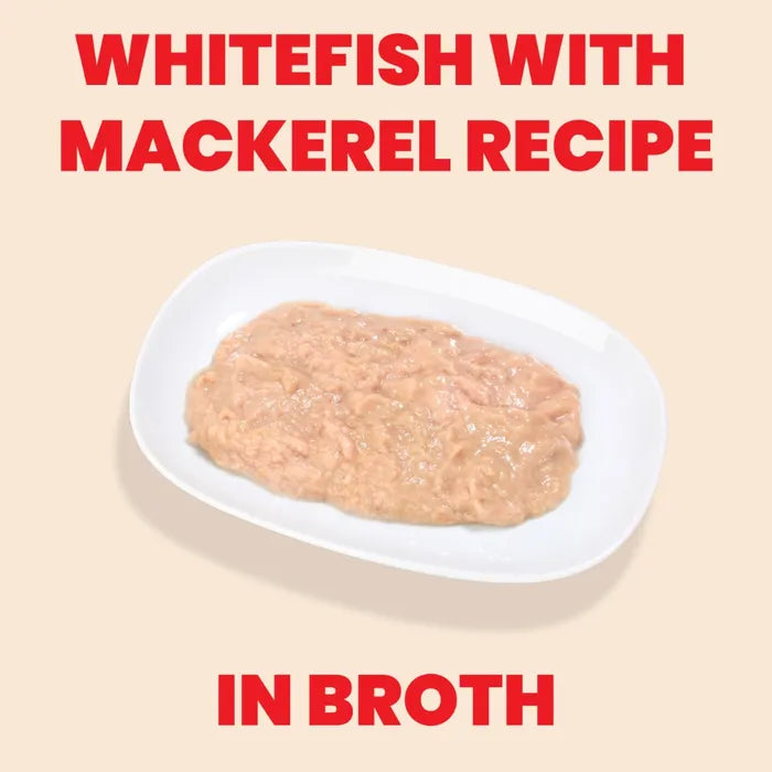 Almo Nature Hqs Natural Kitten - Whitefish With Mackerel In Broth 70g