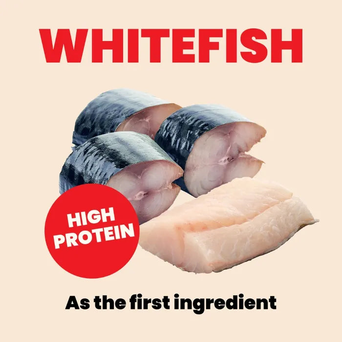 Almo Nature Hqs Natural Kitten - Whitefish With Mackerel In Broth 70g