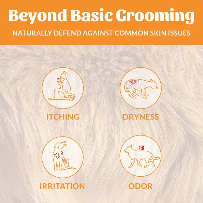 Skout's Honor Probiotic Honeysuckle Cat Shampoo & Conditioner, 16 oz