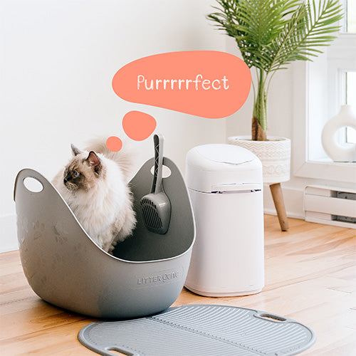 Litter Genie Litter Box