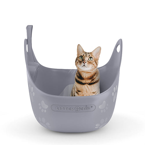 Litter Genie Litter Box