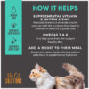 Tiki Cat Solutions Skin + Coat Salmon Recipe in Broth Wet Cat Food Topper 1.5oz