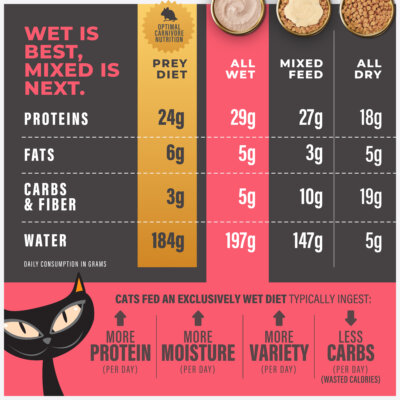 Tiki Cat Specia Mousse Mobility Chicken & Tuna Recipe in Broth Wet Cat Food 2.4oz