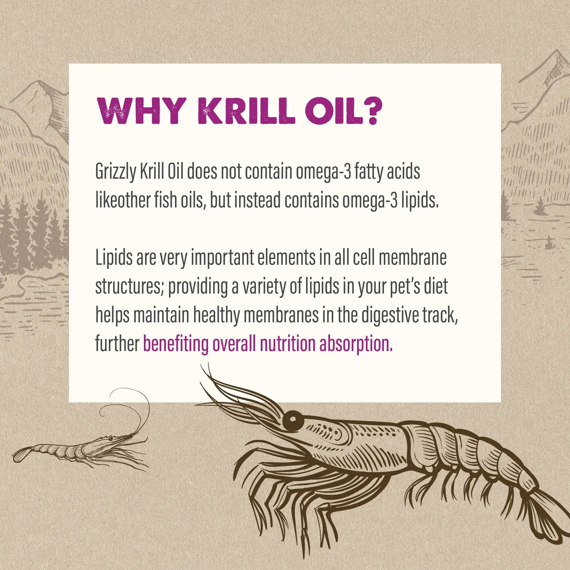 Grizzly Krill Oil 8oz