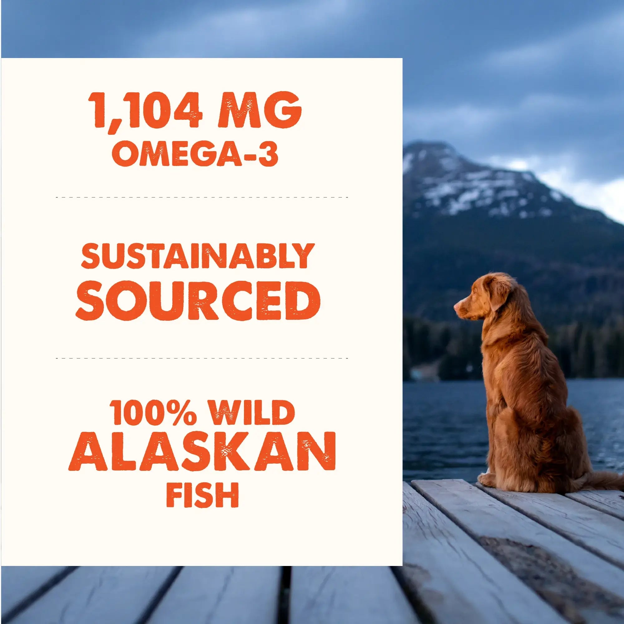 Grizzly Salmon Plus Oil 4oz