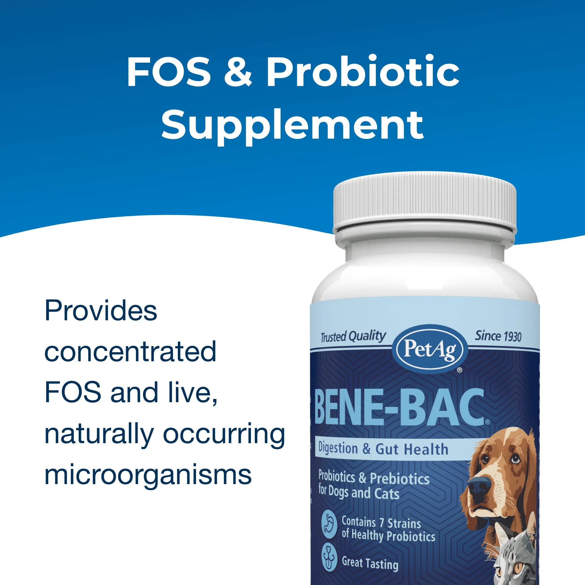 PetAg Bene-Bac Plus Probiotic Pet Powder 1LB