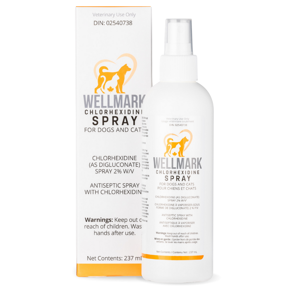 Wellmark Chlorhexidine Spray 237 ml