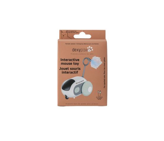 Dexypaws Interactive Toy For Cat, Mouse - Sage Green