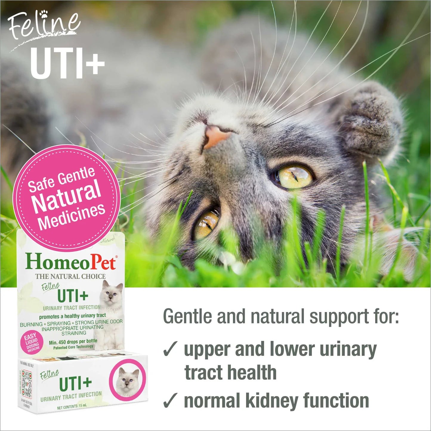 Homeopet Feline UT+ 15ml