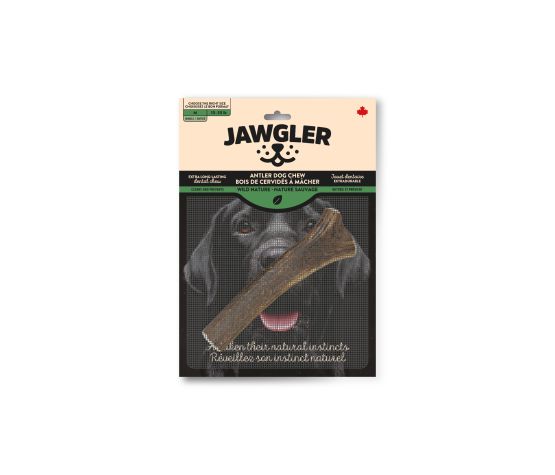 Jawgler Antler Dog Chew, Whole - Wild Nature, Medium