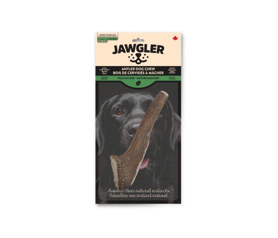 Jawgler Antler Dog Chew, Whole - Wild Nature, Large