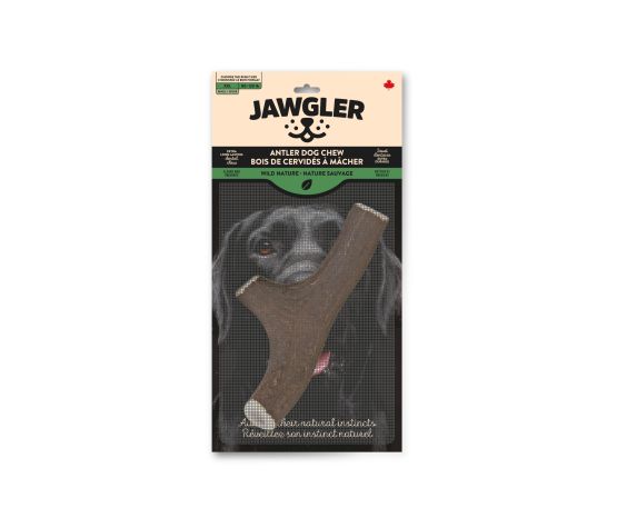 Jawgler Antler Dog Chew, Whole - Wild Nature, Xx-large