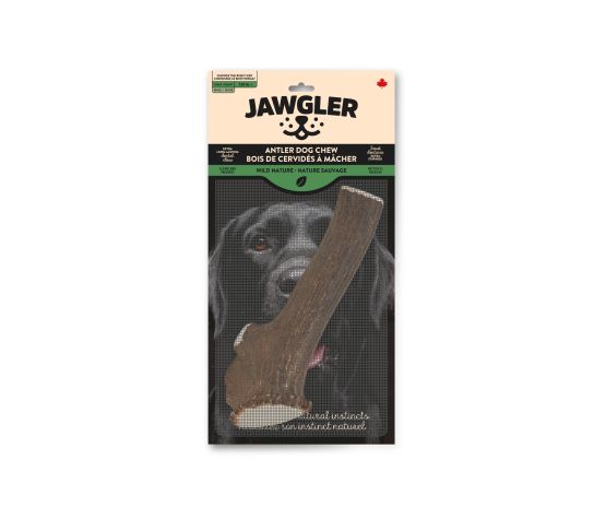 Jawgler Antler Dog Chew, Whole - Wild Nature, Giant
