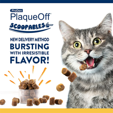 NaturVet ProDen PlaqueOff Scoopables for Cat 45 scoops
