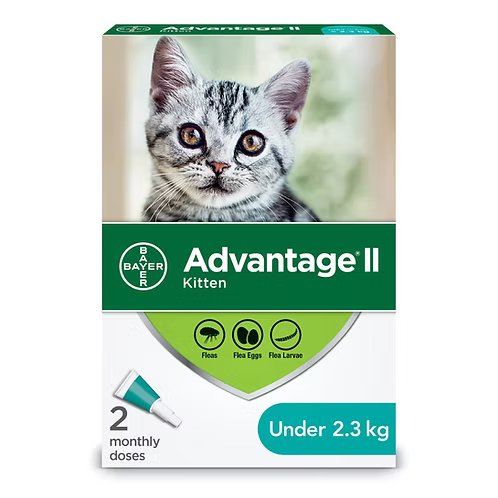 Advantage II Flea Treatment for Cats under 2.3 kg, 2 Doses