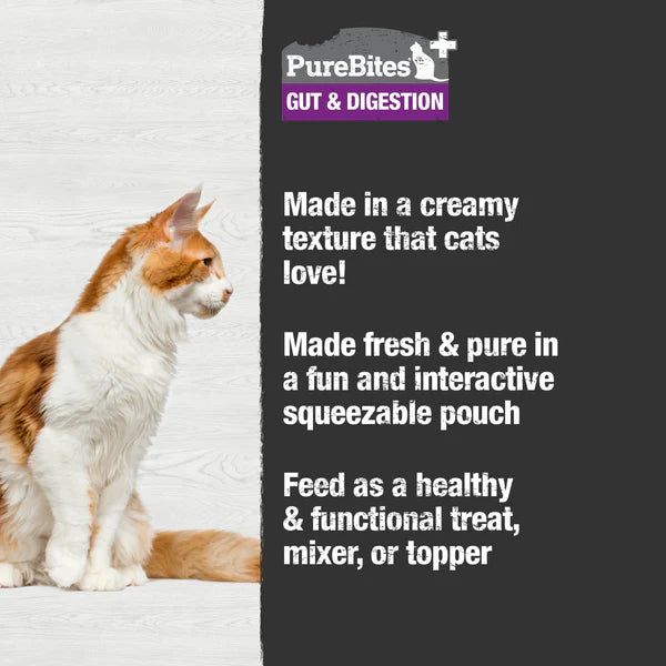 PureBites Plus Squeezables Gut & Digestion For Cats 71 gm