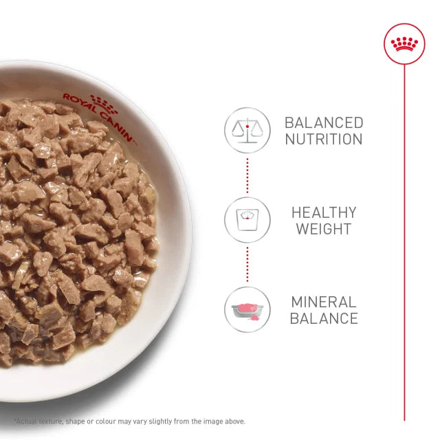 Royal Canin® Feline Health Nutrition™ Adult Instinctive Thin Slices In Gravy Canned Cat Food - 12 can pack, 3 oz