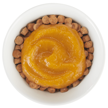 Tiki Cat Tummy Topper Pumpkin Puree Recipe Wet Cat Food/Topper 1.5oz