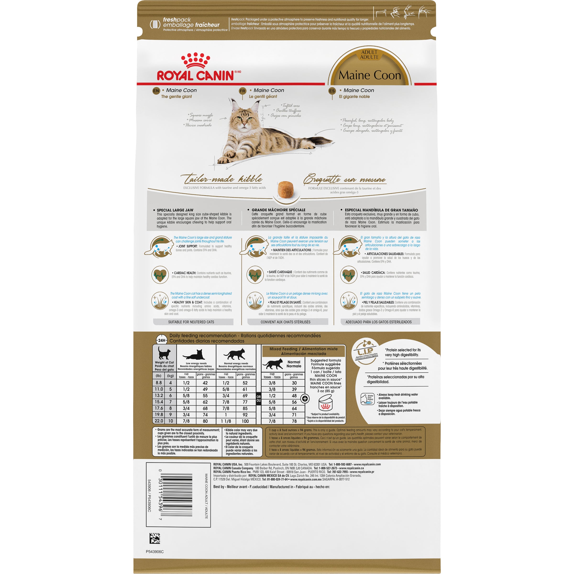 Royal Canin® Feline Breed Nutrition™ Maine Coon Dry Cat Food, 6 lb